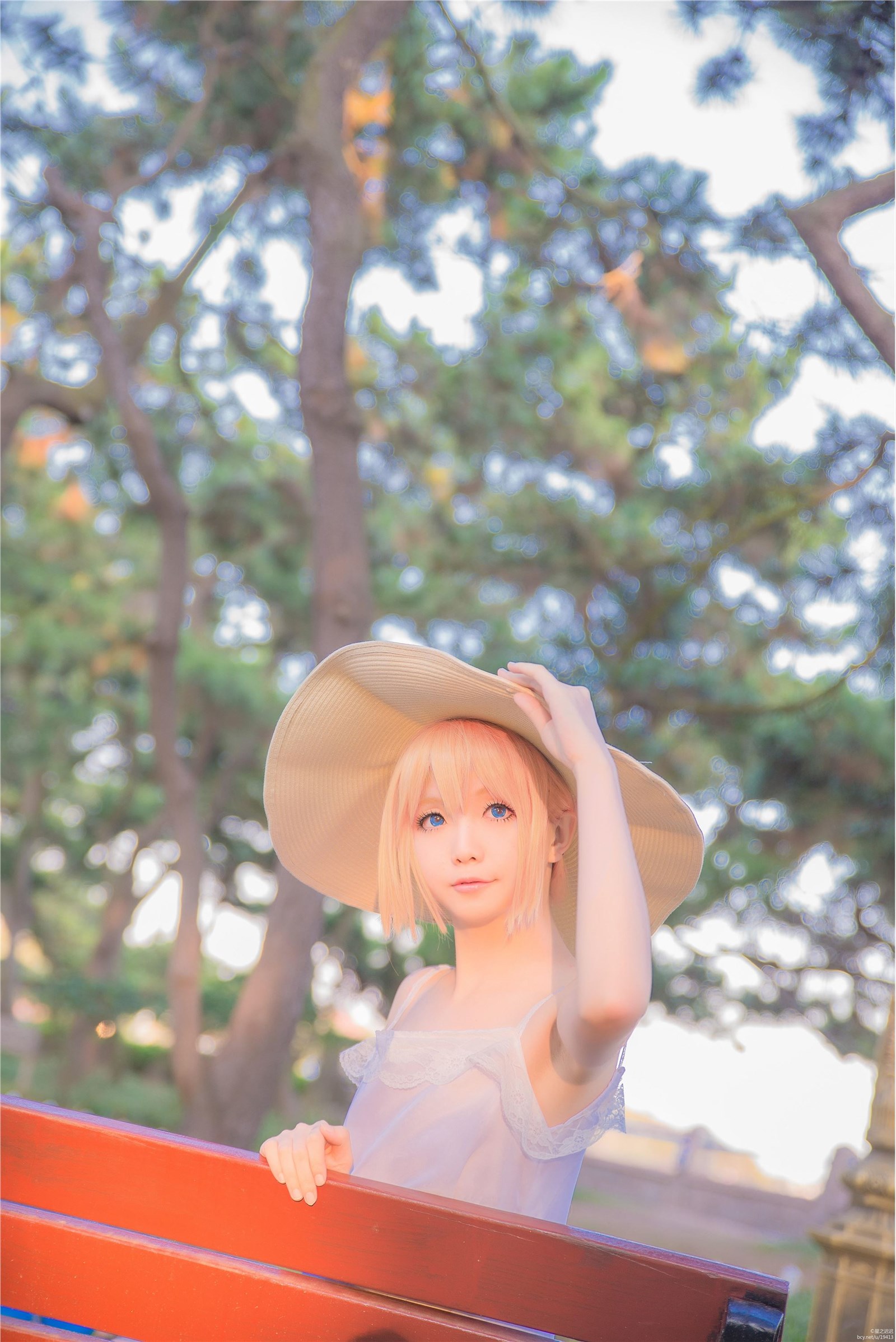 Star's Delay to December 22, Coser Hoshilly BCY Collection 3(145)